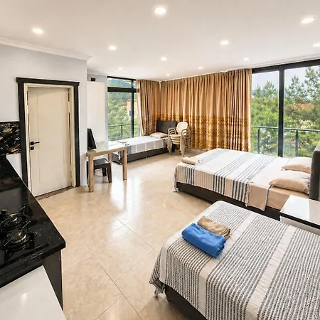 Tashan Apart Otel Didim